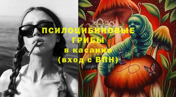 spice Новозыбков