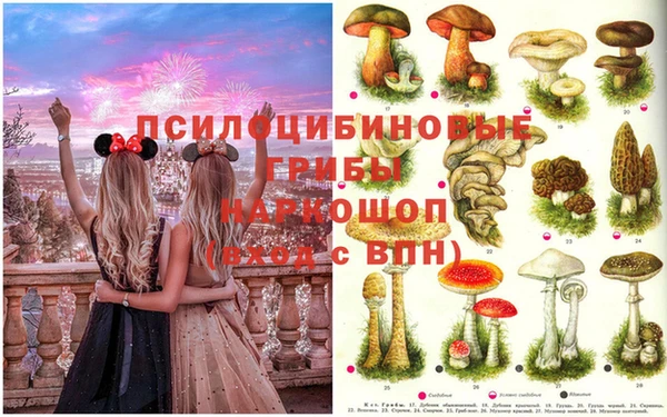 spice Новозыбков