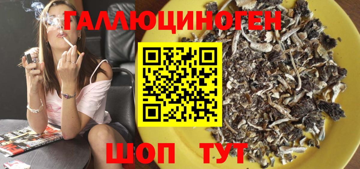 Псилоцибиновые грибы мицелий  Вход с VPN  Усть-Кут 